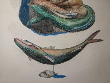 portoiracemadasartes 17359168 10155379245528287 5696836754234639823 o