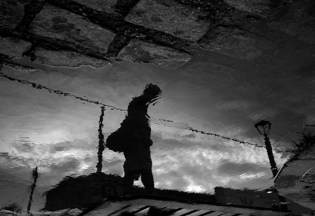 Luiz Freire Fotografia 2015 1 1