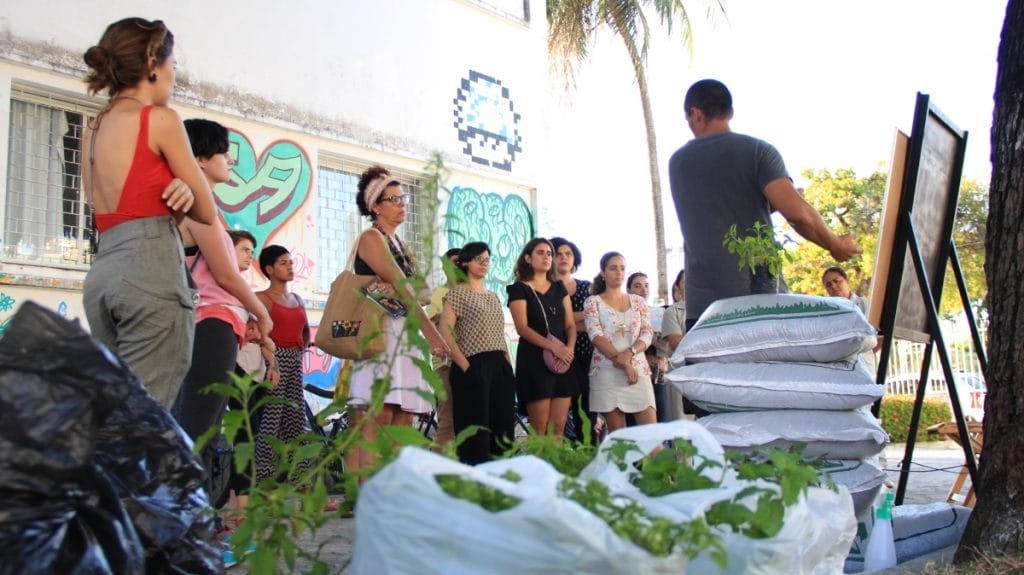 Horta do Porto. Foto Joyce S. Vidal 35