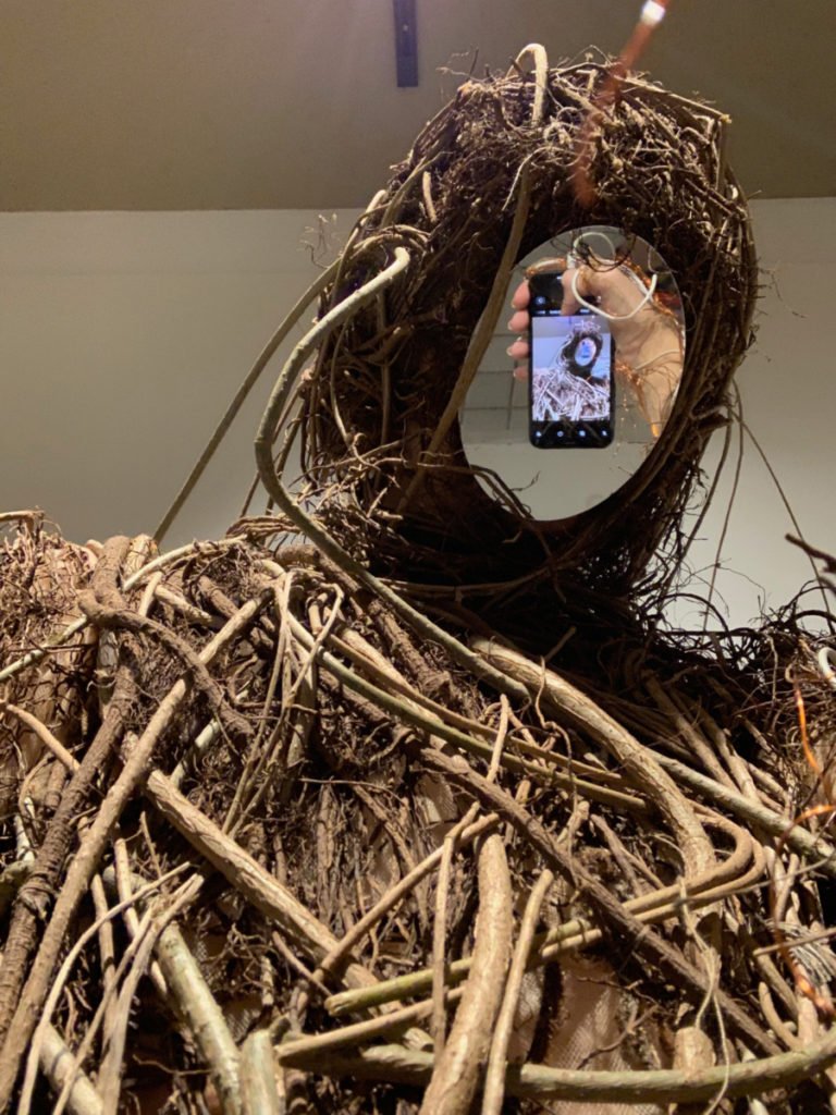 Aoruaura Selfie Temporaria Mente Sem Titulo 2019.