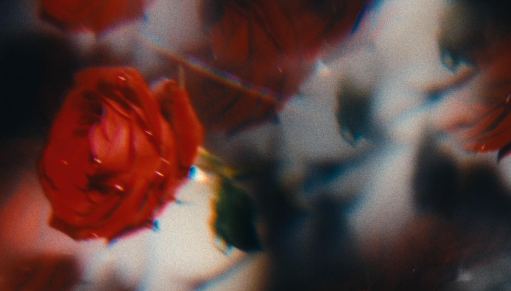 labs 26 capa inscr SF