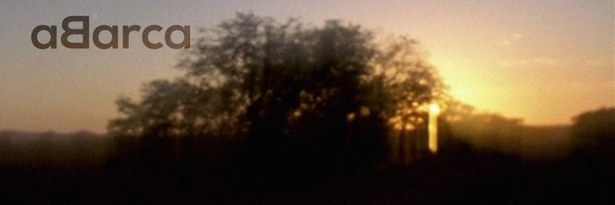 abarca-capa-site (1)