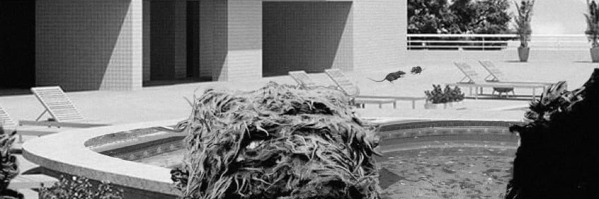 la ursa_créditos da montagem Daniel Edmundson_2017 (1)