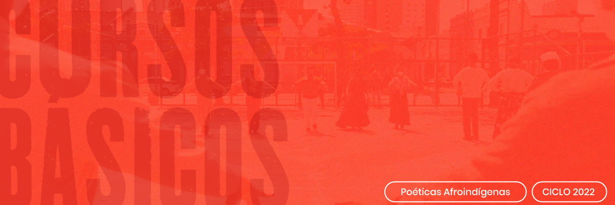 basicos-poeticas-afroindigenas-capa-site basicos-poeticas-afroindigenas-capa-site