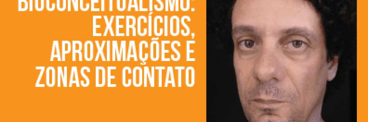 Ricardo Basbaum-03
