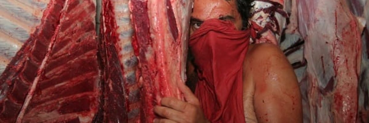 Solon Ribeiro  PIPA  Prêmio IP de Arte