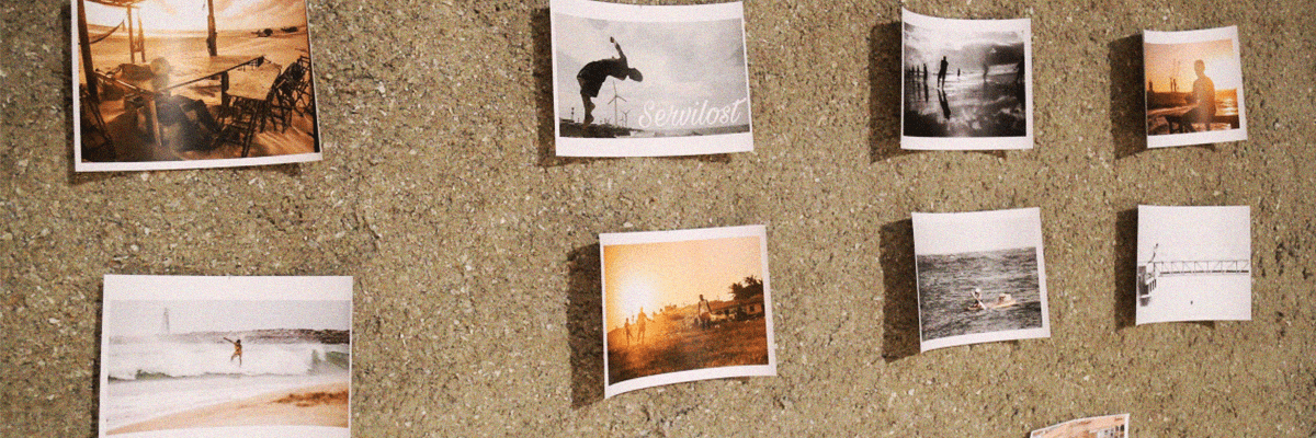 preciso_capa-site3