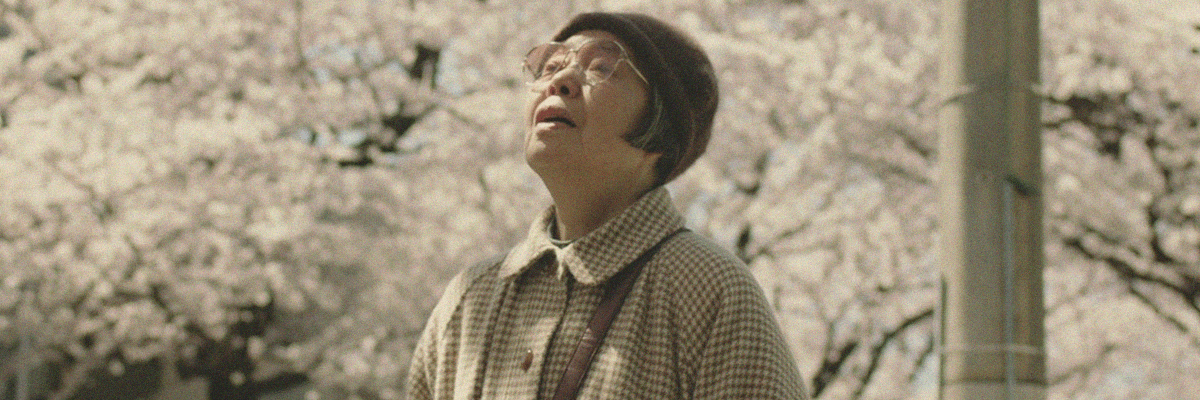 sabor-da-vida_capa-site