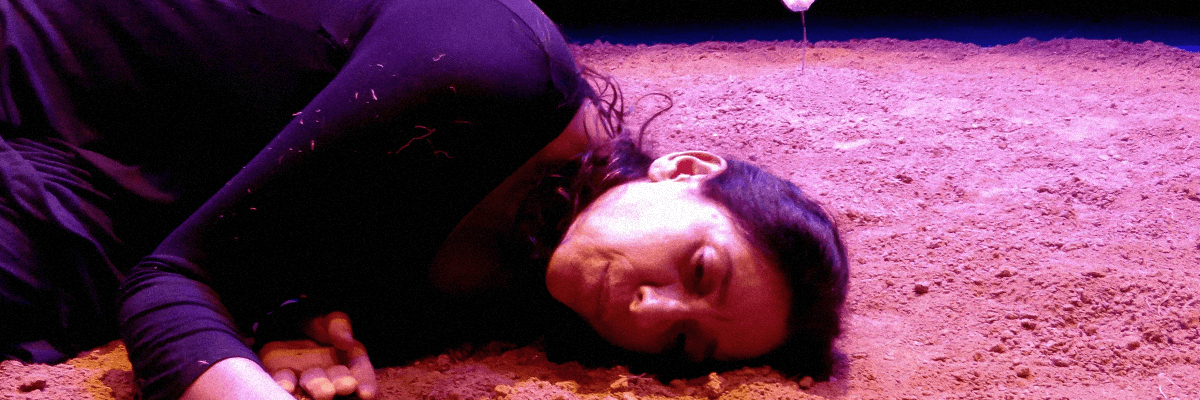sandra-vargas_capa-site