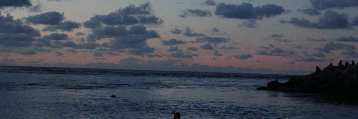 sob a luz do luar (2) - A3